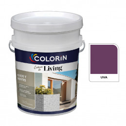 Latex COLORIN Living Ext...