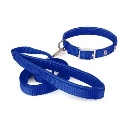 Correa BRACO C/collar y...