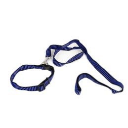 Correa BRACO C/collar y...