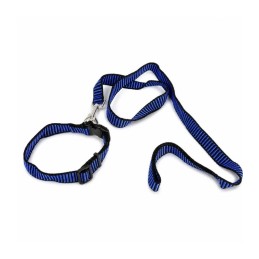 Correa BRACO C/collar y...