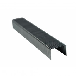 Grampas P/Engrampadora NEON...